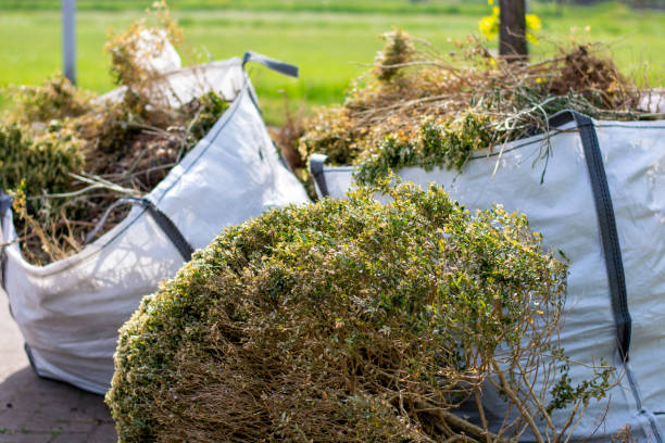 Best Basement Cleanout Services  in Winter Garden, FL